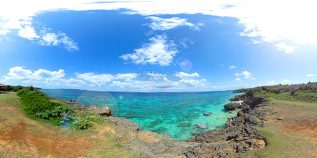 beach20250320R0012634.jpg