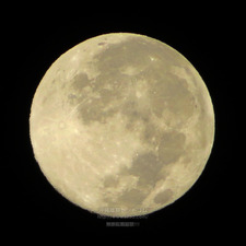 moon202112202866.jpg