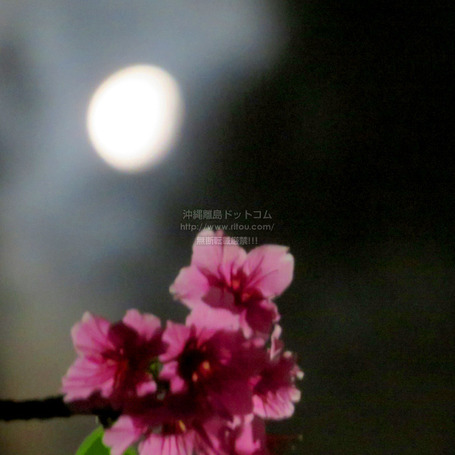 moon20250217z1037.jpg