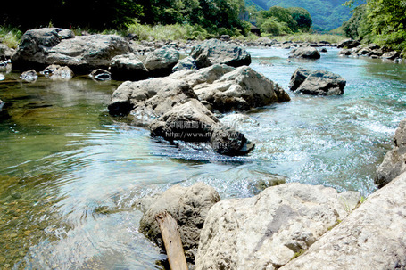 okinawawateramami4478.jpg