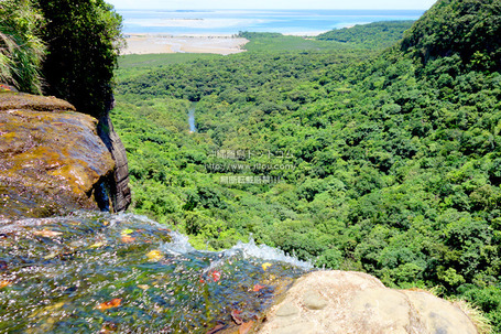 okinawawateririomote2484.jpg
