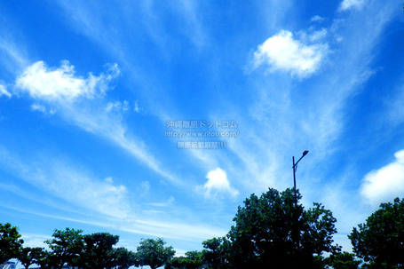 sky20250523z3212.jpg
