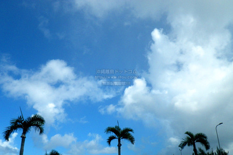 sky20250629w3469.jpg