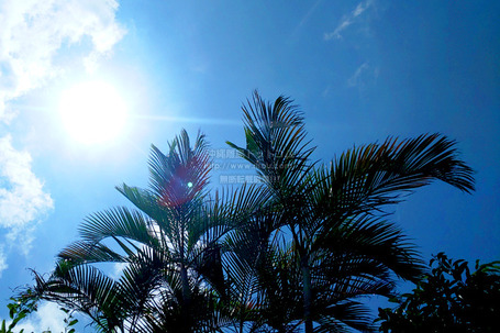 sky20250716x0809.jpg