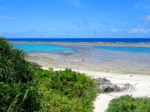 DSC10176.jpg